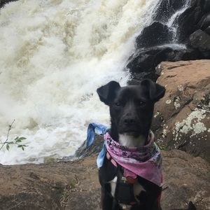 Meet your Posher, Kylee